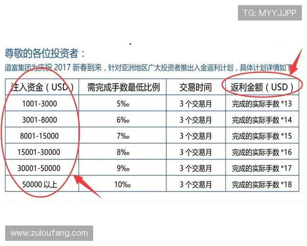 AG会员年度费用与权益对比分析帮助玩家做出最优选择